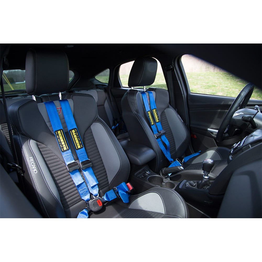 Schroth Harness Quick Fit Pro 4-Point Belt